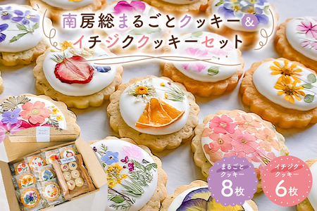 のし対応可能 南房総まるごとクッキー8枚（カレンデュラ＆レモン、菜の花＆落花生）・イチジククッキー6枚セット mi0085-0001 押し花クッキー