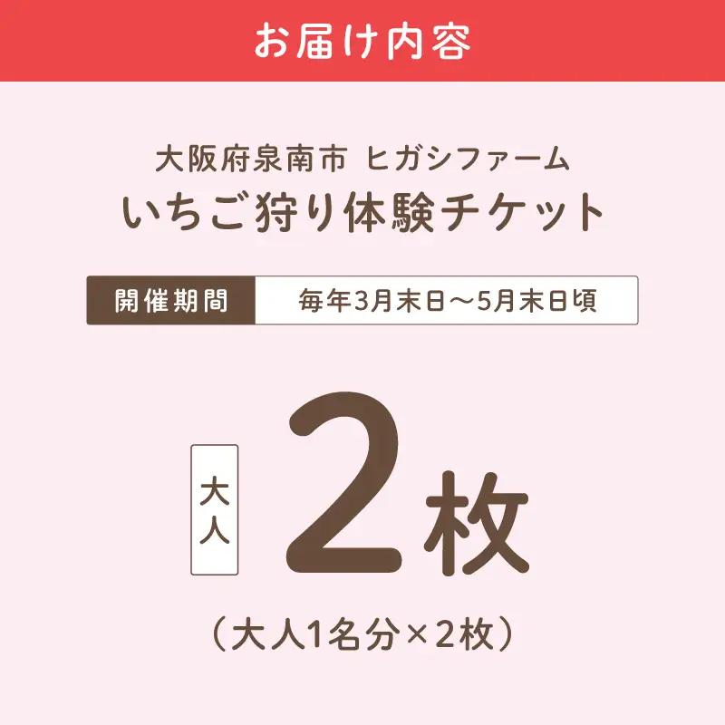 【見つけて、摘んで、食べて！】希少いちご「ほしうらら」を摘みに行こう いちご狩り 体験チケット（大人2名）【121D-001】