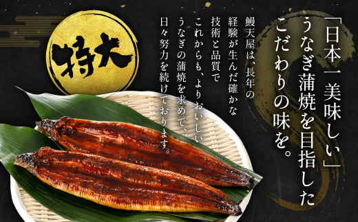 【12ヶ月定期便】九州産 うなぎ蒲焼 特大4尾 (1尾あたり220～235g)