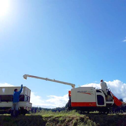 【令和7年産米】三島町産天のつぶ 精米10kg FAG-0061