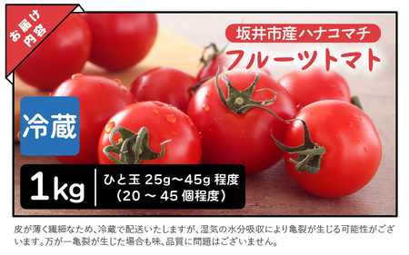 じっくり旨味を蓄えた思わず笑顔が溢れる フルーティートマト 1kg 【とまと ミディトマト 中玉トマト 野菜 やさい 新鮮 生食 アレンジ ジャム トマトソース サラダ 産地直送 国産】 [A-162