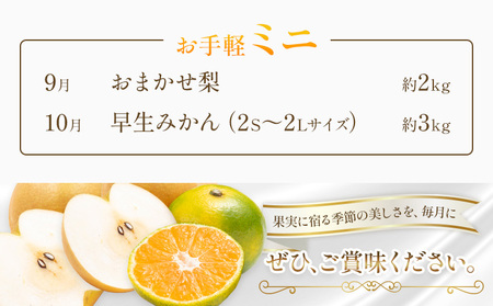 旬の フルーツ 定期便 2ヶ月連続 秀品 ミニ 日本フルーツ株式会社《9月より出荷開始》熊本県 荒尾市 おまかせ 梨 早生みかん 果物 フルーツ スイーツ デザート ギフト ご贈答