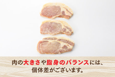 A1447.九州産黒豚ロース西京漬けセット（500g）