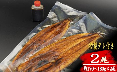 【高知満喫定期便】厳選!!藁焼きかつおのタタキ2節と高知県産うなぎの蒲焼き2尾セット×3回定期便