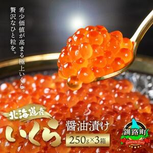 いくら醤油漬け 250g ×3個セット ＜北海道産の鮭卵＞_魚介・海産物 いくら  イクラ_【配送不可地域：離島】【1109634】