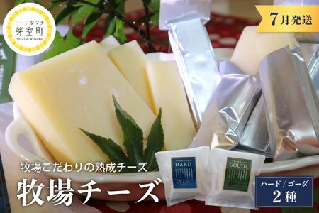 7月発送 北海道十勝芽室町 牧場チーズ２種類セット チーズ cheese ハードチーズ ゴーダチーズ 熟成チーズ 手作り お取り寄せ おつまみ アレンジ me020-005c-7