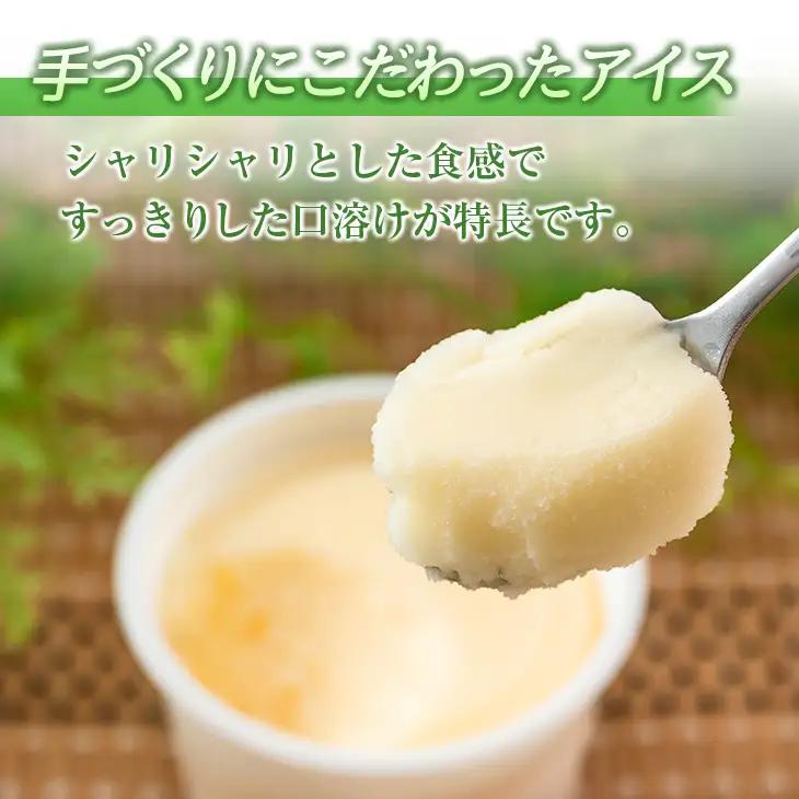手作り アイス カップ セット 計16個 スイーツ デザート おやつ 国産 食品 加工品 お菓子 氷菓 なかつや 昔ながら 懐かしの味 ご褒美 お祝い 記念日 ギフト 贈り物 プレゼント お取り寄せ 