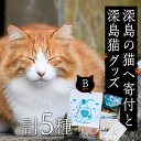 【ふるさと納税】深島の猫へ寄付と深島猫グッズ (Bプラン・計5種) 猫 ネコ ねこ 寄附 カレンダー タオル 大分県 佐伯市【EK10】【でぃーぷまりん】