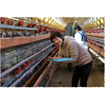 吉川養鶏のグルメ卵　Mサイズ90個(割れ保証18個含む)羽島観光協会推奨【はしまブランド】認定品