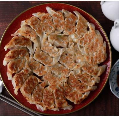 ふるさと納税 佐世保市 【毎月定期便】国産豚100% 長崎ひとくち餃子(トレー包装)180個【長崎中華本舗】全12回 |  | 01