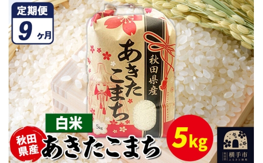 《定期便9ヶ月》あきたこまち 5kg【白米】令和7年産 秋田県産 こまちライン [こまちライン あきたこまち ブランド米 お米 白米 精米 米どころ 秋田 秋田県産]