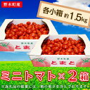 【ふるさと納税】ミニトマト トマト 甘い T05 ミニトマト 約1.5kg × 2箱 小箱 栃木県 野木町産