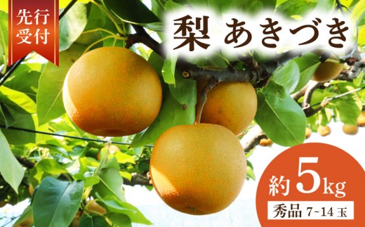 【2026年先行予約】 千葉県産 梨 あきづき 約 5kg 秀品 あきづき梨 なし 和梨 果物 果実 くだもの フルーツ 旬の果物 9月発送 2026 国産 千葉 千葉産 秋月 秋月梨 新鮮 鮮度 旬 厳選 贈答 贈り物 ふるさと納税 産地 送料無料 千葉県 旭市 齋藤園 ste004