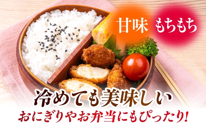 【3回定期便】熊本県産 くまさんの輝き 白米 5kg