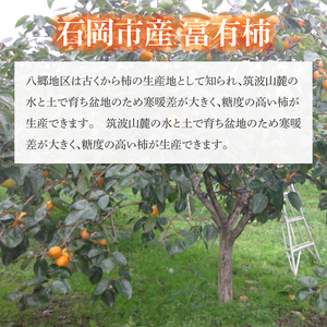 【2026年10月下旬より順次発送】【数量限定】富有柿 L 16玉【茨城県共通返礼品/石岡市】（IU-9）
