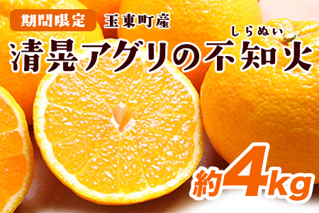 『清晃アグリ』の不知火(しらぬい)約4kg(L-4Lサイズ) 《3月上旬-3月末頃出荷》