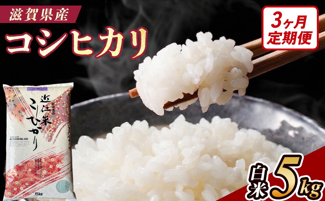 
                  【3ヶ月定期便】【令和7年産】近江米コシヒカリ白米5kg
                
