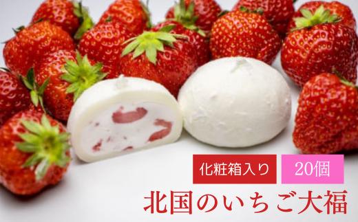 いちご大福〈20個入〉アイス 個包装 北国のいちご大福 いちご 苺 スイーツ デザート 大容量 アイスクリーム  生クリーム大福 大福 和菓子 お菓子 小分け 人気 ギフト 贈答用 冷凍  ふるさと納税 岩手県 一関市