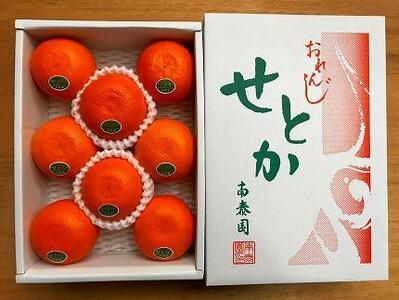 ハーフ 化粧箱 柑橘の大トロ ハウス せとか 厳選 8玉入 南泰園 高級せとか 小玉 ハウス 温室 化粧箱入り 甘い オレンジ 有田産 和歌山産