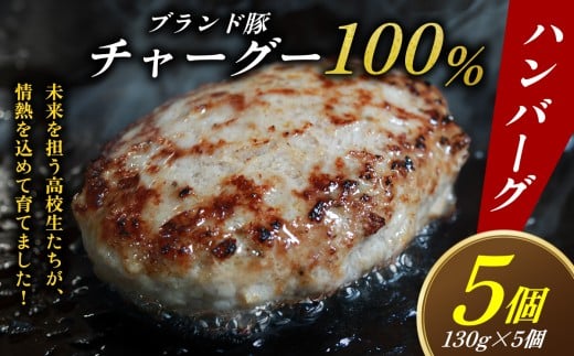 ブランド豚チャーグー100％「ハンバーグ」130g×5個 沖縄 ブランド豚 チャーグー 黒豚 アグー お肉 豚肉 希少 人気 惣菜 おかず 冷凍 応援 名護市 北部農林高校