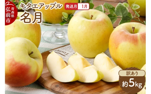 【27年1月発送】りんご 名月【訳あり】約5kg キタエアップル 青森県 弘前市 [先行予約 名月 りんご 訳あり 家庭用 アップル おいしい 果実 果物 黄色 美味 林檎]