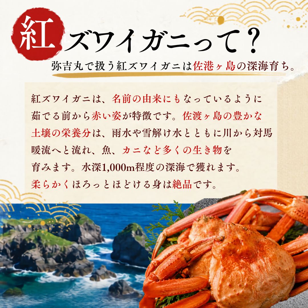 【ふるさと納税】『冷凍』佐渡島直送！浜茹で紅ズワイガニ（1杯400g/3杯）195983-0004