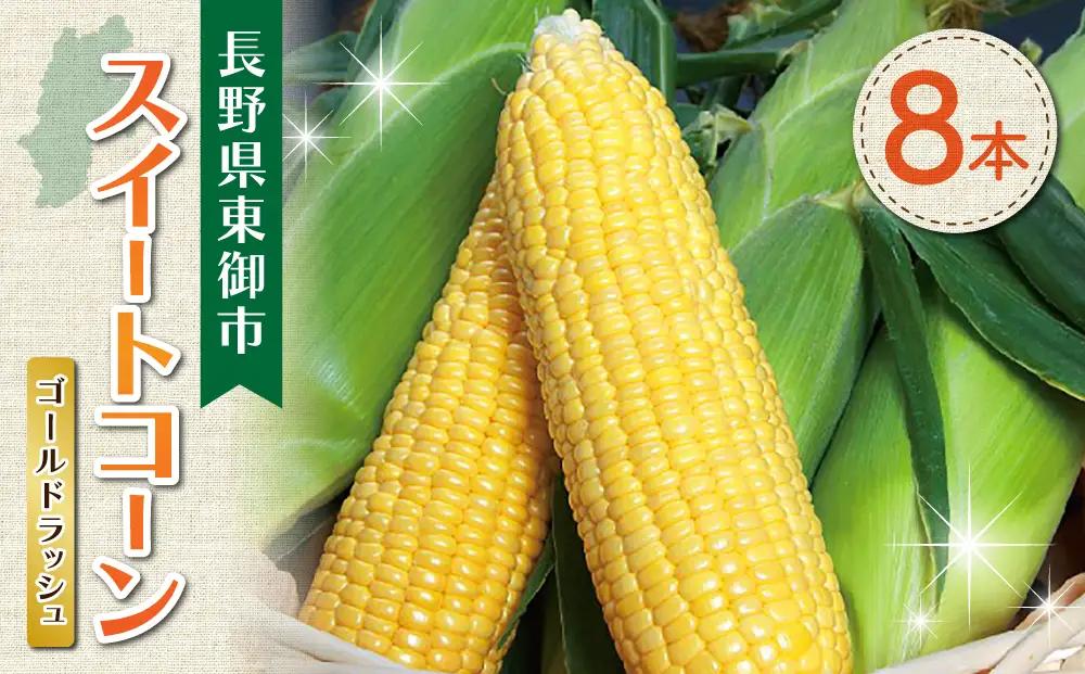 【先行受付2026年発送】東御市産とうもろこし8本｜フルーツみたいなイエロースイートコーン(ゴールドラッシュ)　※2026年7月中旬頃～9月上旬頃お届け予定※着日指定不可