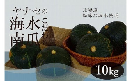 R6年産　南瓜　約10kg　知床海水ミネラル栽培　ヤナセ農園/013-27090-b01A