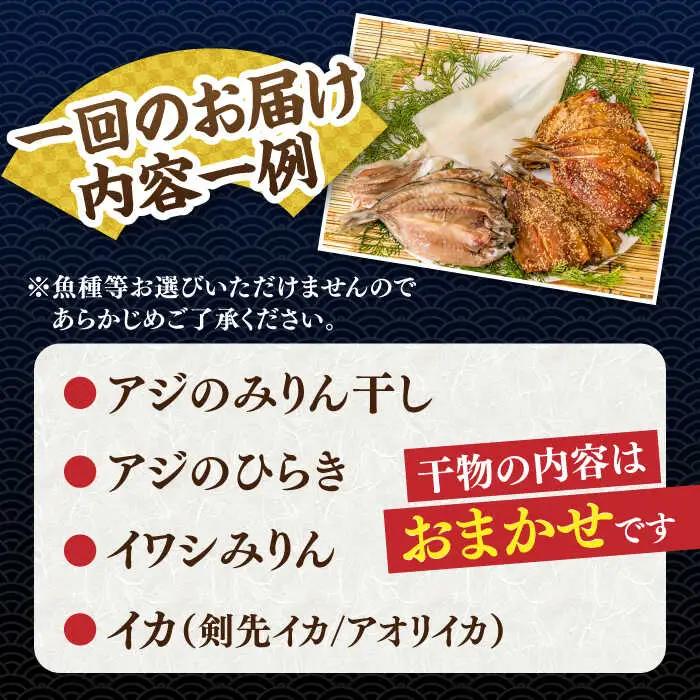 【全3回定期便】 旬の干物 おまかせ詰め合わせ《梅》（アジ・イワシ・イカなど）[JDR009]