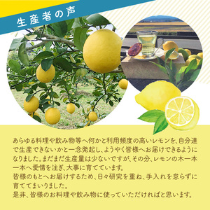 上毛町産レモン 訳ありB級品 5kg _K06406