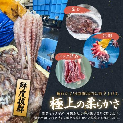 ふるさと納税 釧路町 ヤナギダコ500g【産地直送】プリプリ食感 北海道 釧路町 昆布森産 噛むたびに広がる多幸の旨味 |  | 01