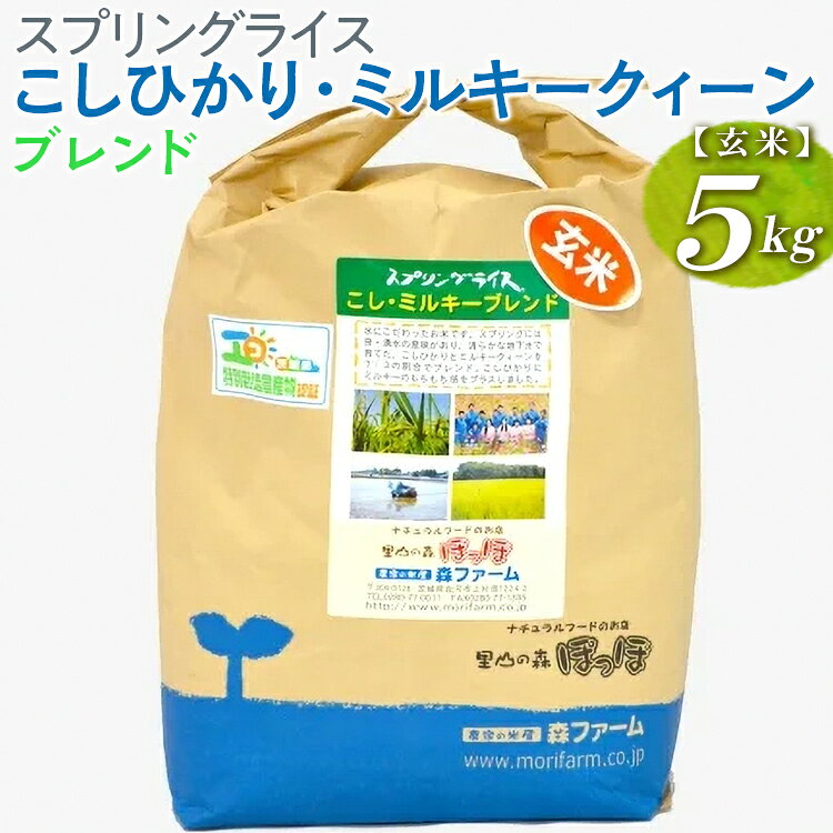 【ふるさと納税】【新米】スプリングライス こしひかり・ミルキークィーン ブレンド (玄米)5kg ｜米 コメ こめ ごはん ご飯 ゴハン スプリング ライス コシヒカリ ミルキー クイーン ブレンド 5kg 贈答 玄米 ビタミン ミネラル 食物繊維 ギフト ※2026年9月〜発送 _BI69