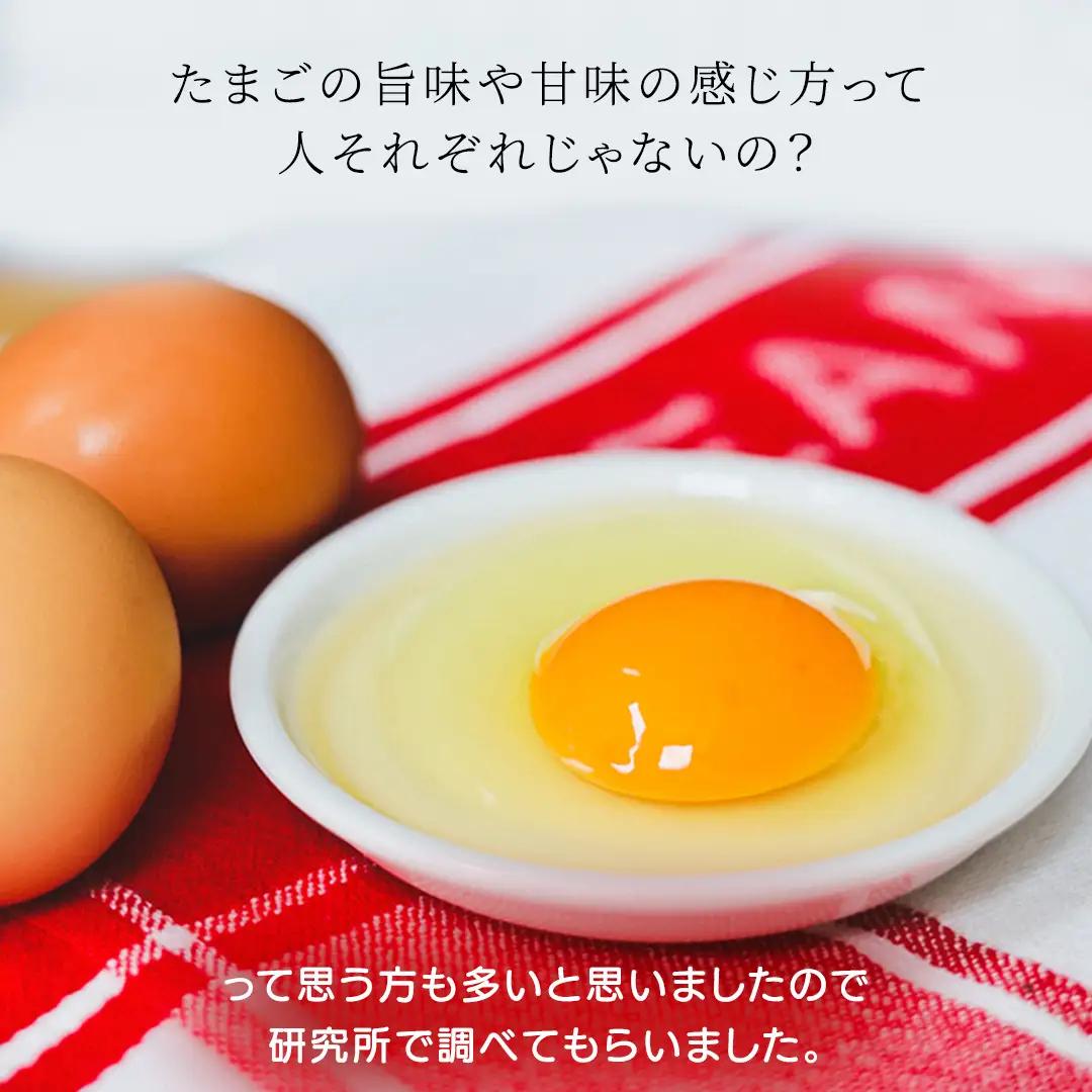 【卵 定期便3か月】純国産鶏「もみじ」平飼い卵 30個×３回  (AJ024) 