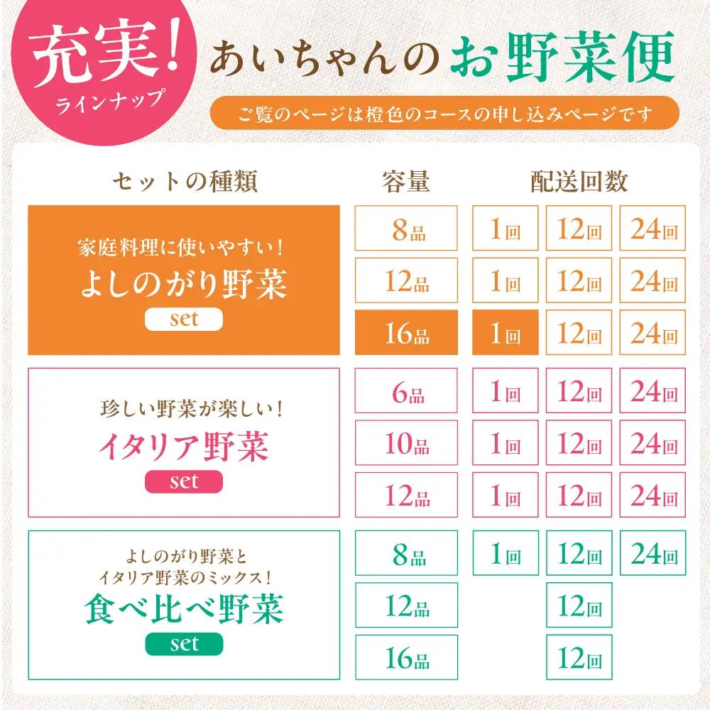 【16品】農薬に頼らない！カラダにやさしい「よしのがり野菜」セット（ラージ）吉野ヶ里あいちゃん農園 [FAA009]