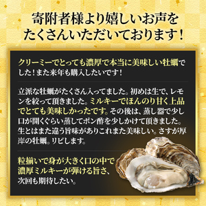 北海道厚岸産 牡蠣 Lサイズ 1ダース（12個入り） 生食用 生牡蠣 貝付き牡蠣 貝 海鮮 魚介類 シーフード 殻付き牡蠣 マルえもん メルマガ掲載商品1 