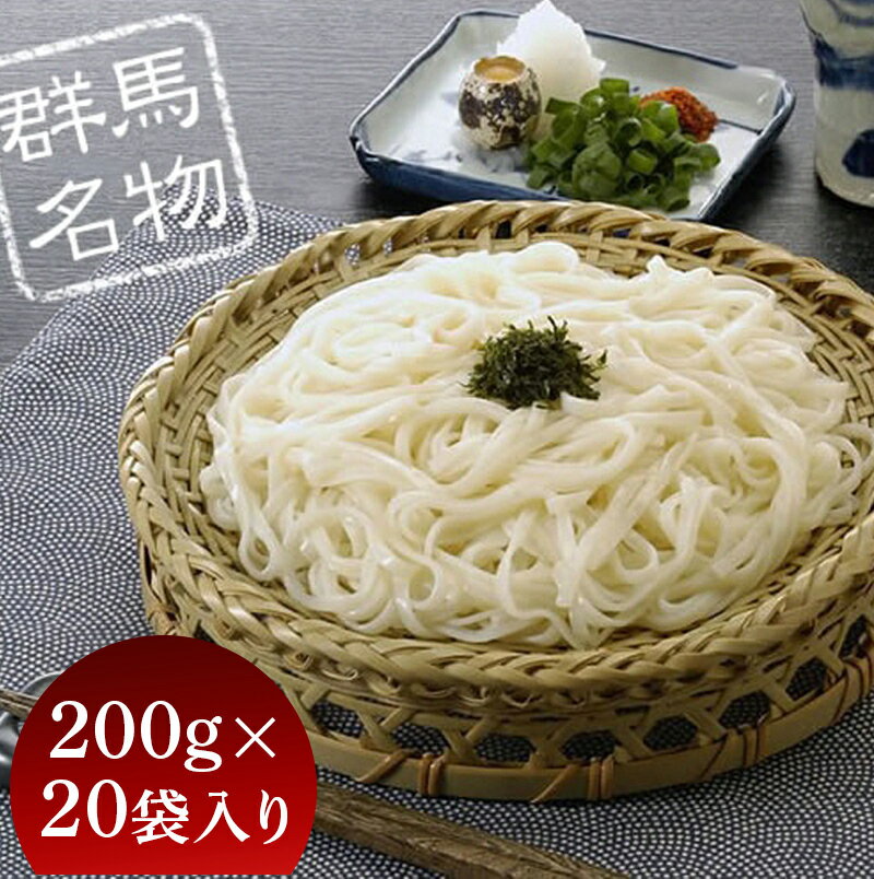 【ふるさと納税】ふる里水沢&reg;うどん 200g（2人前）×20袋入り（約40人前） 麺 乾麺 日本三大うどん 水沢 ふるさと 故郷 納税 群馬 渋川市 F4H-0053