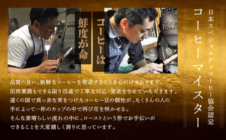 【毎月 定期便 全3回】緑の館 レギュラー50杯分（5杯入り×10P）×3回分 毎月発送 コーヒー レギュラーブレンド 自家焙煎珈琲店 ドリップ 下呂温泉【17-B】