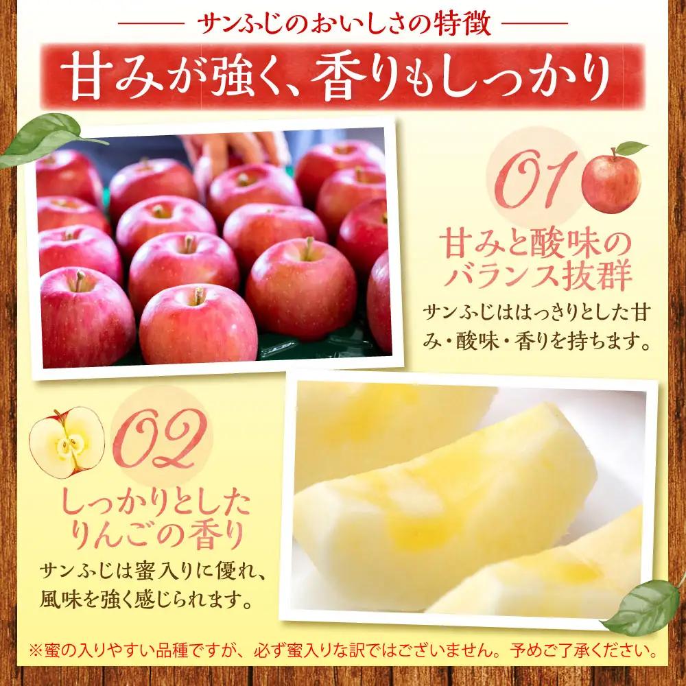 【2026年11月下旬発送】 青森りんご 約3kg サンふじ 《訳あり》 りんご