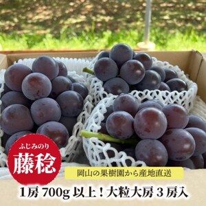 【きよとうファーム】ボッケーネ(藤稔)ずっしり大房の満足便! 3房入(1房700g～)(岡山県産)【配送不可地域：離島】【1633076】
