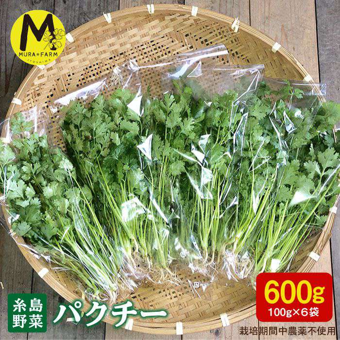 【ふるさと納税】糸島産 パクチー 600g(100g×6袋) 糸島市 / MURA FARM [AFD001] 10000円 1万円