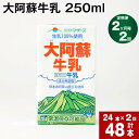 【ふるさと納税】【定期便】【2ヶ月毎 2回】大阿蘇牛乳 250ml 計48本(24本×2回) 計12L 牛乳 飲料 生乳100% 乳飲料 ミルク 無調整牛乳 らくのうマザーズ 常温保存可能 ロングライフ牛乳 朝食 九州 熊本 高森町