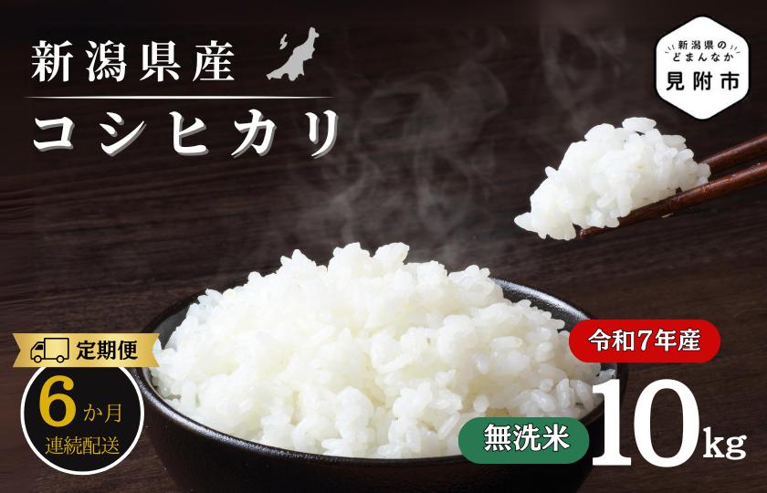 【6か月定期便】R7年産 新潟県産 コシヒカリ 10kg （無洗米）新米 お米 白米 コシヒカリ こしひかり おすすめ 人気 こめ コメ 新潟 見附 見附市 7年 2025年産 ふるさと納税 諸長