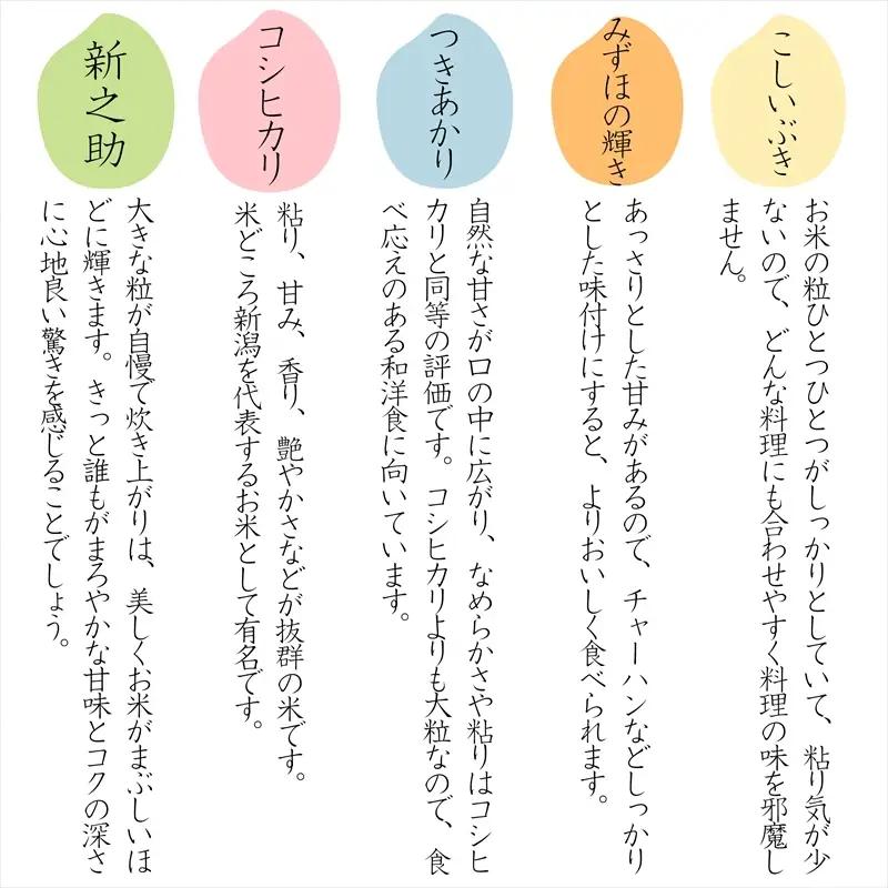 令和8年産 先行予約 新潟県上越市産 こしいぶき 5kg×6回 計30kg 30キロ 定期便 新米 精米 米 新潟県産 限定 おすすめ 米ヴィレッジさんわ