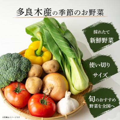 ふるさと納税 多良木町 熊本の大地の恵み 旬のこだわり野菜詰め合わせセット 8〜12品(3〜4名様向け) |  | 01