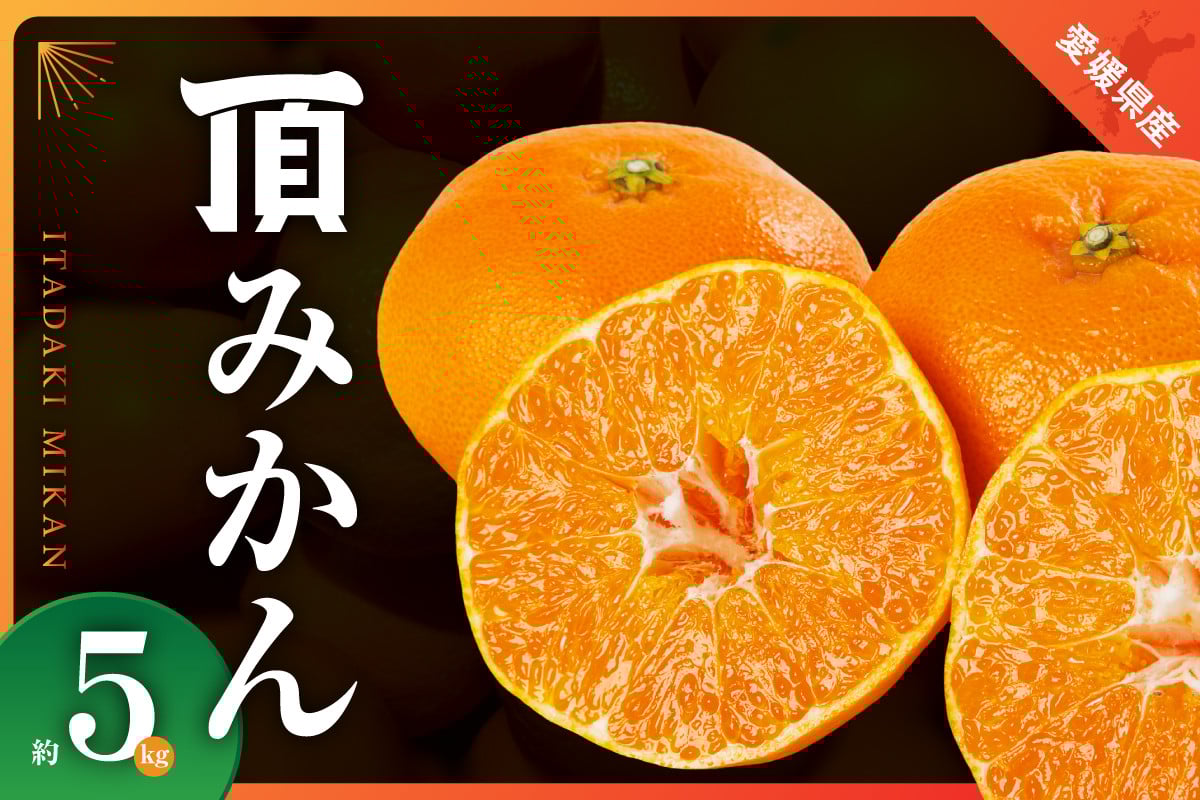 三代目がつくる最高峰【頂みかん】5ｋｇ