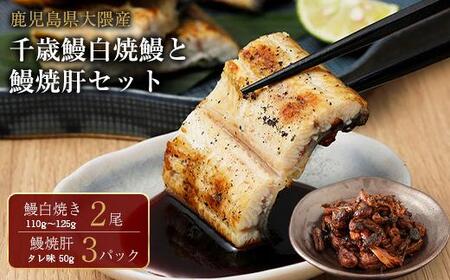 鹿児島県大隅産 千歳鰻の 白焼鰻　2尾・鰻焼肝セット｜うなぎ うなぎ