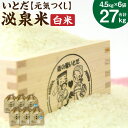 【ふるさと納税】【令和6年産】いとだ泌泉米 白米 27kg (4.5kg×6袋) 元気つくし ご飯 お米 福岡県 糸田町産 送料無料