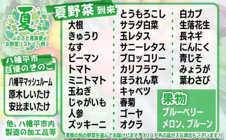 【旬野菜お届け】八幡平のふるさと産直箱（小）【2ヶ月おき／計4回】 ／ 野菜 採れたて 新鮮 おまかせ 詰め合わせ 野菜の詰合せ やさい 季節 旬 産直箱 産地直送 直送 葉物 自宅用 家庭用 お取り