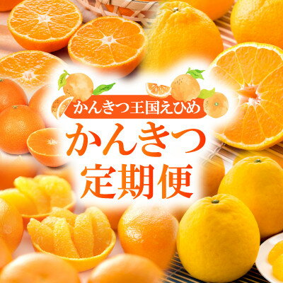 【ふるさと納税】【発送月固定定期便】2025年11月発送開始　えひめかんきつ定期便　全6回【配送不可地域：離島】【4069445】