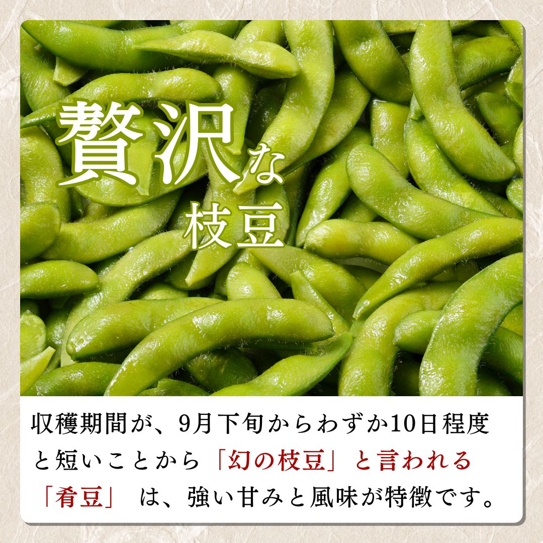 塩茹で冷凍枝豆　おおがた豆 枝豆 豆 えだまめ おつまみ 冷凍 新潟県 上越市